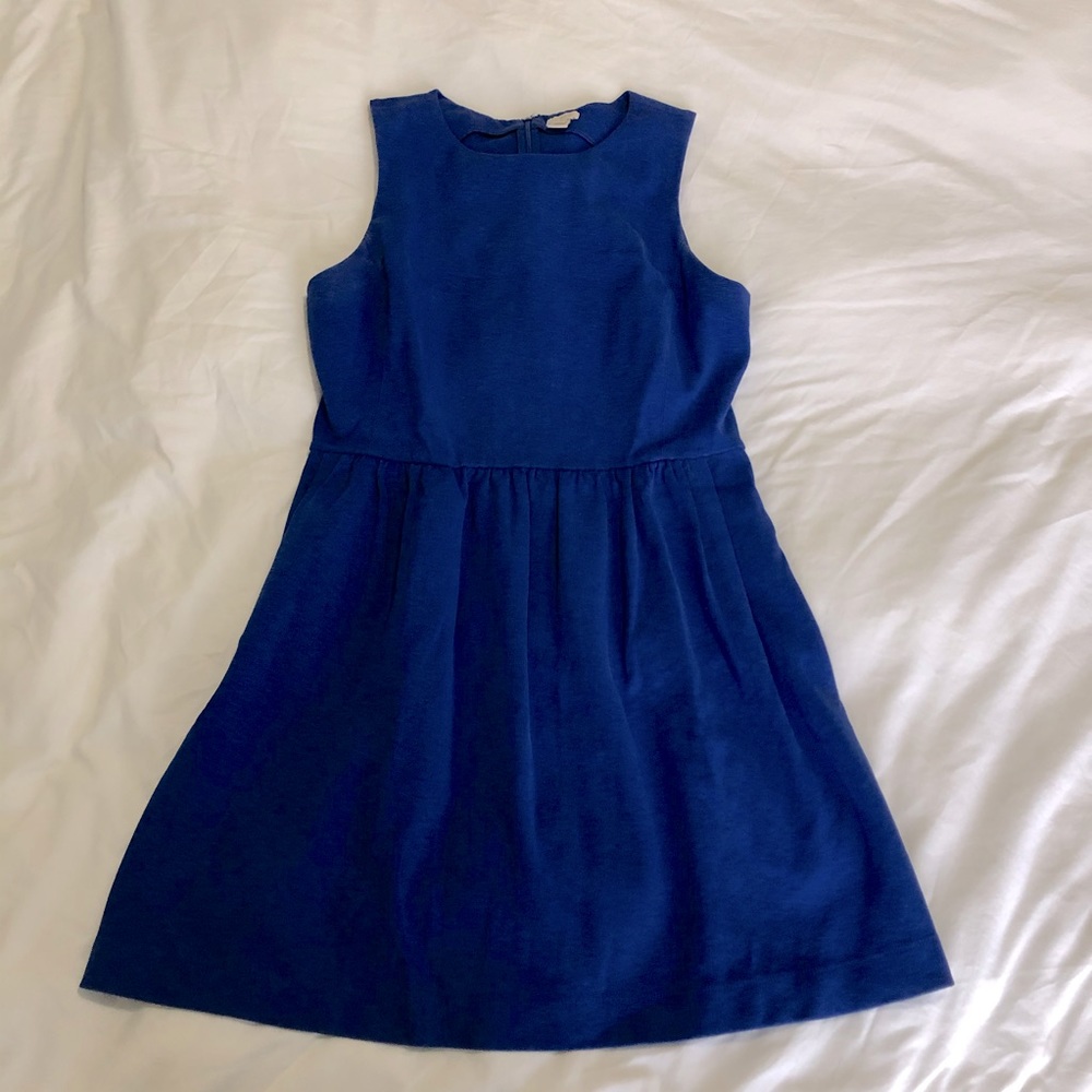 Royal blue cotton JCrew factory dress